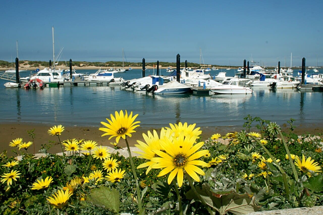 Puerto Deportivo de Sancti-Petri